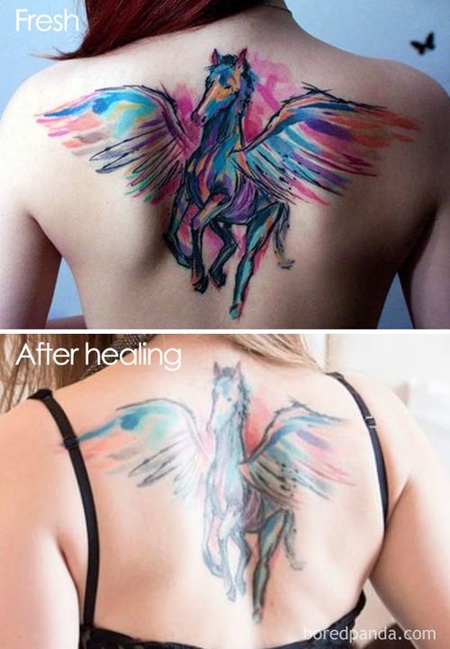 How many tattoos do you have if any?