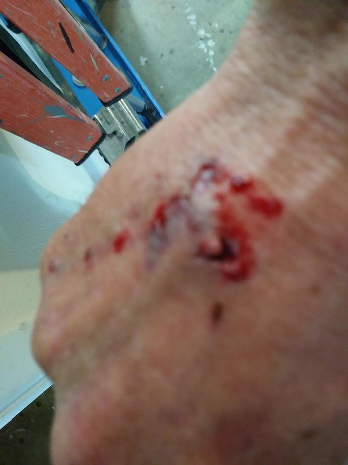 Are you afraid of dogs?