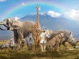 What animals do you hate most and why?