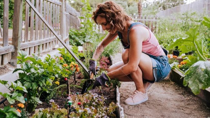 Do you like taking care of your garden?