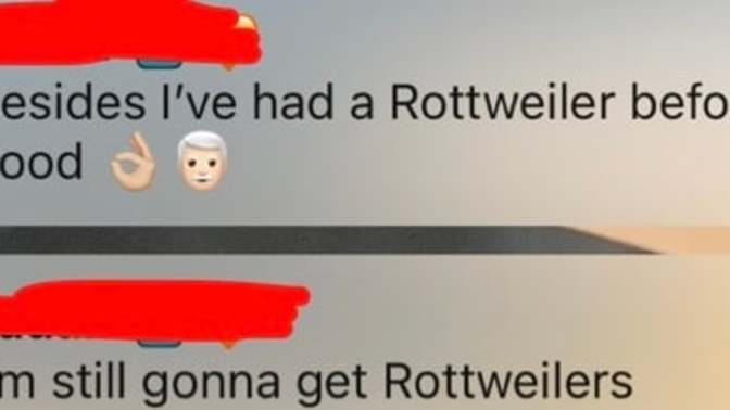 Why did he say this about him getting a big dog?