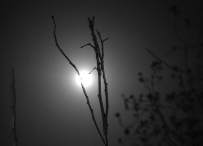 What are your opinions on black & white photos?