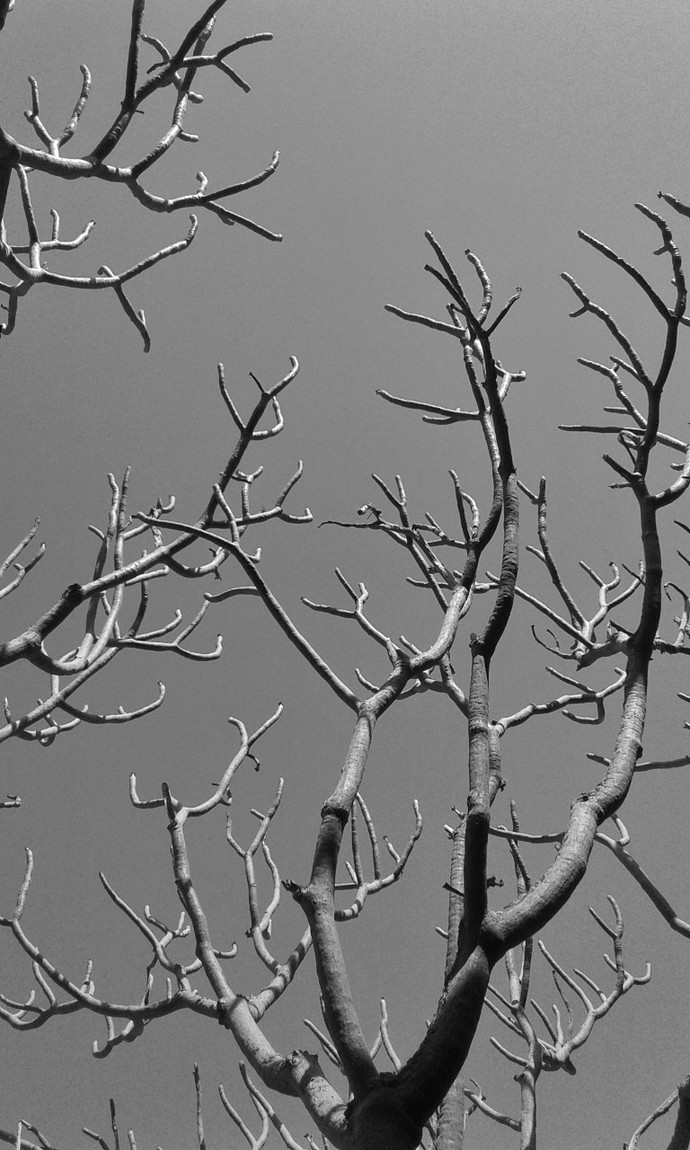 What are your opinions on black & white photos?