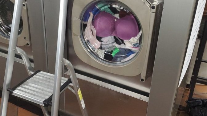 Anyone experienced or witnessed this problem at the laundromat? Dealing with Vertical challenges and unable to reach the soap dispenser 🤣?