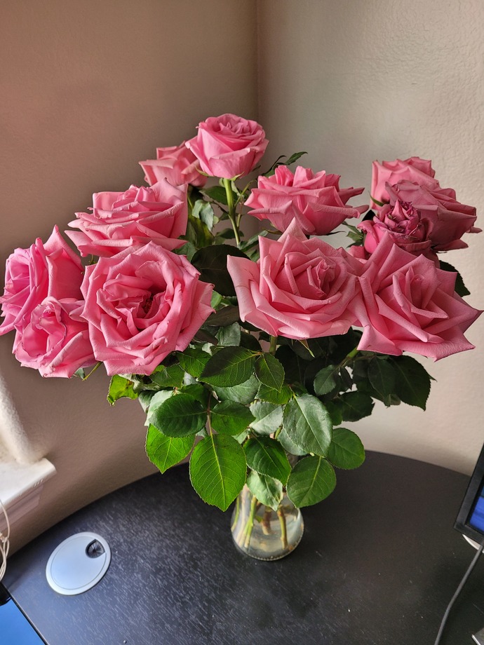 Pink roses are my favorite flower 🌸