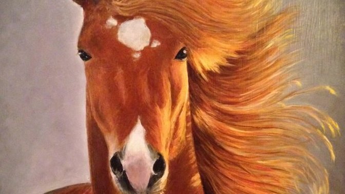 Have you or would you ever eat horse meat?