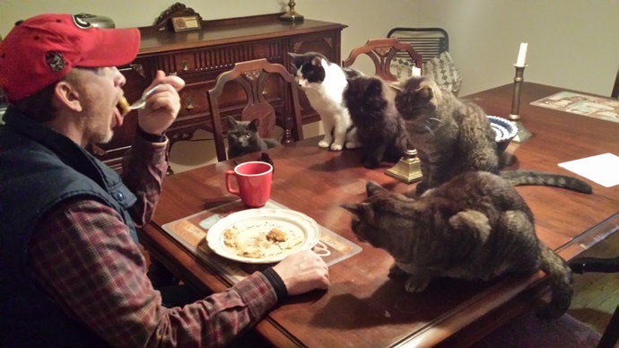Instead of a cat lady how would you feel about a cat guy?