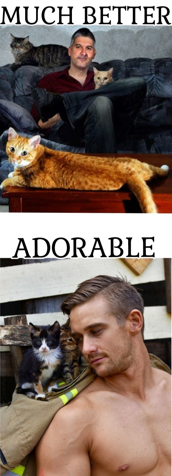 Instead of a cat lady how would you feel about a cat guy?