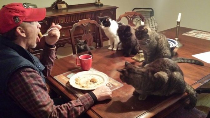 Instead of a cat lady how would you feel about a cat guy?