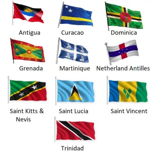 Do you love your country?