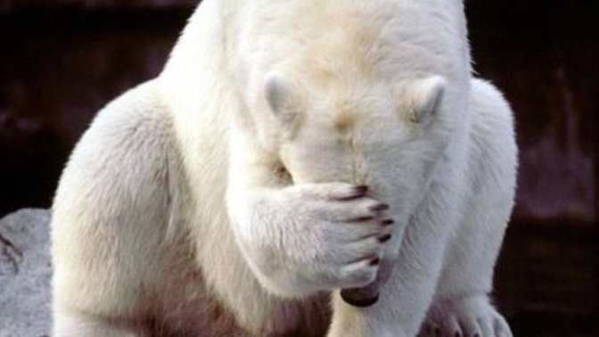 Have 'You' done anything that embarrassed 'You' today?