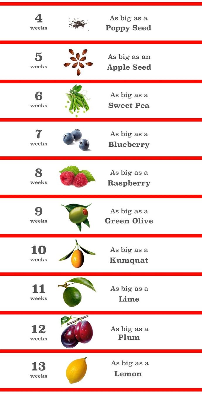 If you are, why are you pro-life?