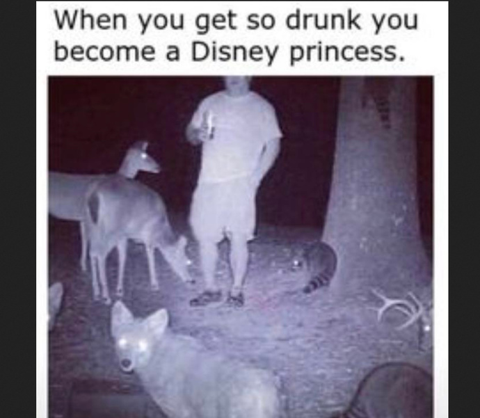 Post Your Best Memes?