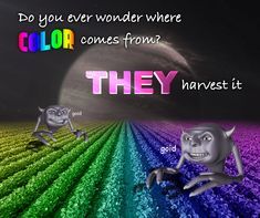 Post Your Best Memes?