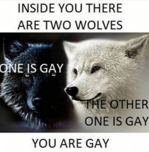 Post Your Best Memes?