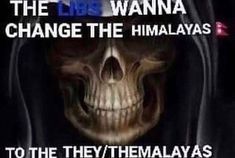 Post Your Best Memes?