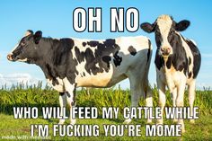 Post Your Best Memes?