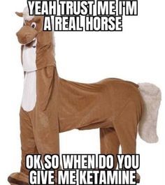 Post Your Best Memes?