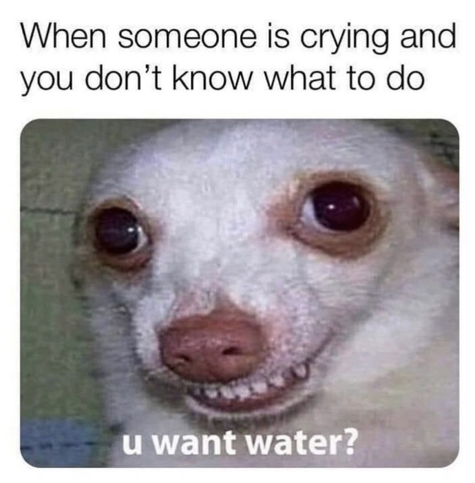 Post Your Best Memes?