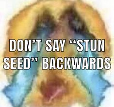 Post Your Best Memes?