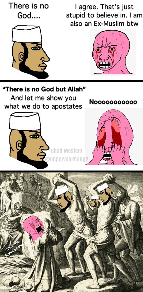 Do you think or believe wearing the hijab works?