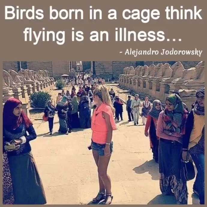Do you think or believe wearing the hijab works?