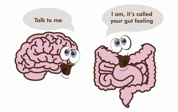 Are your senses usually right?