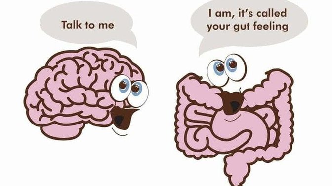 Are your senses usually right?