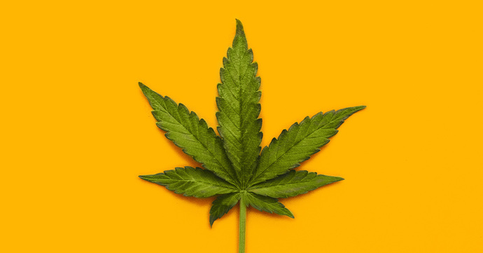 Do You Classify, and or Consider Marijuana as a Drug?