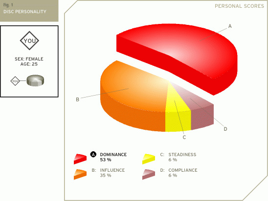 Whats your DISC personality type?