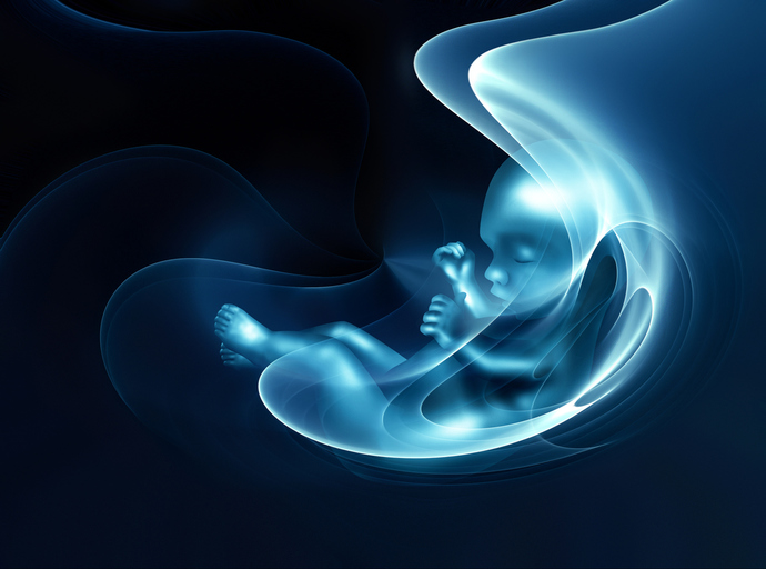 When does the Soul enter the body of a fetus?