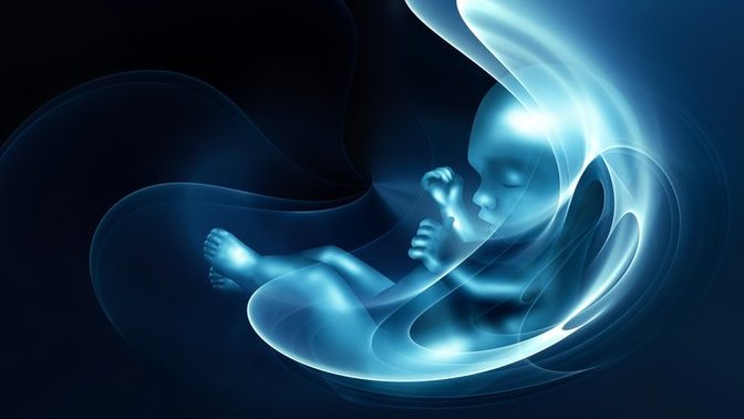 When does the Soul enter the body of a fetus?