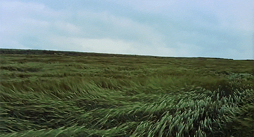 Do you know what the phrase breaking wind refers to without looking it up or at the other answers?