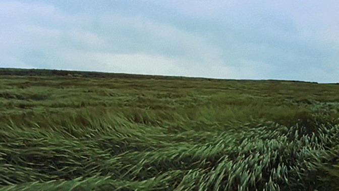 Do you know what the phrase 'breaking wind' refers to without looking it up or at the other answers?