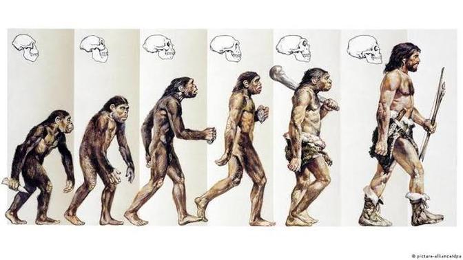 Do you believe in evolution or evolution theory?