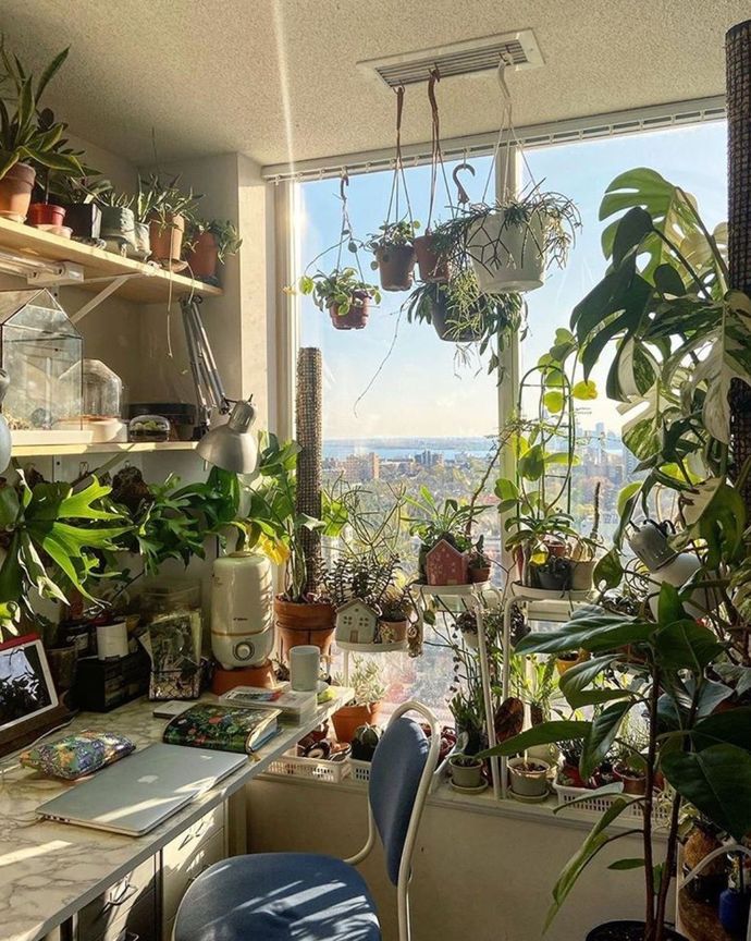 With a photo, show us your favorite decor/theme?