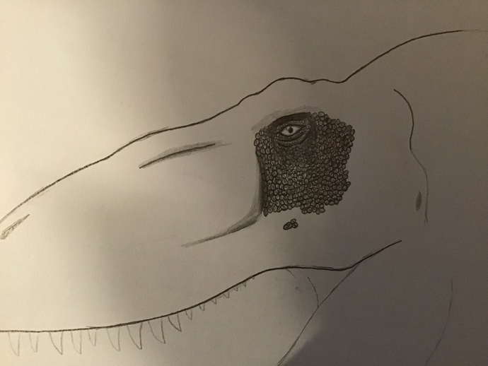 Is this a new record of realism or no?
