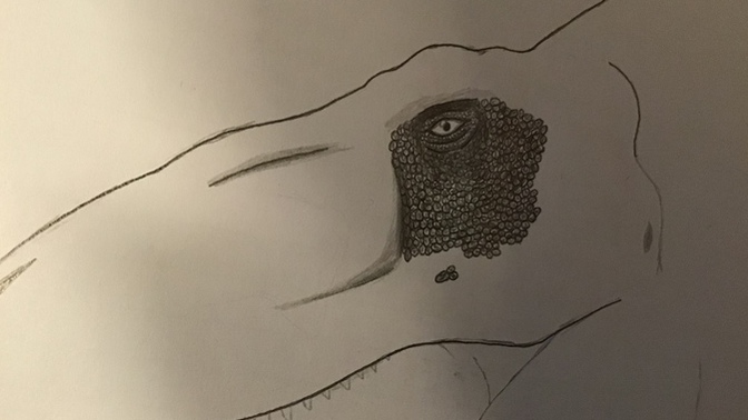 Is this a new record of realism or no?