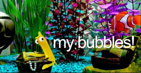 Are you a big fish in a little pond?