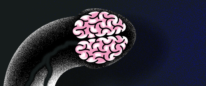 How does the male mind work?