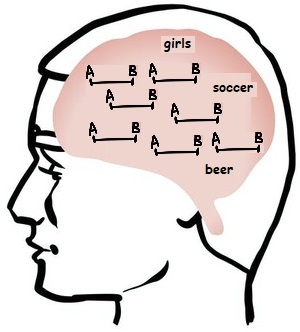 How does the male mind work?