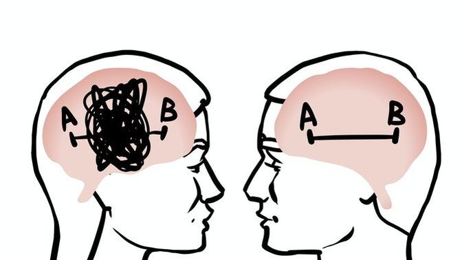 How does the male mind work?