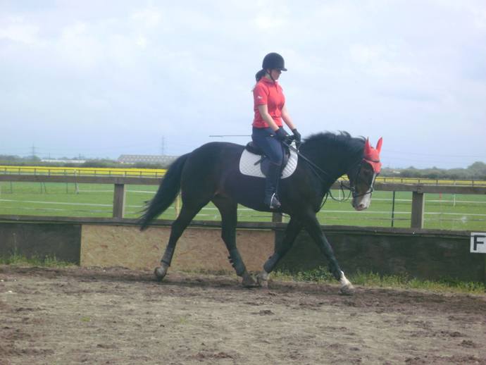 Have you ever gone horseback riding?