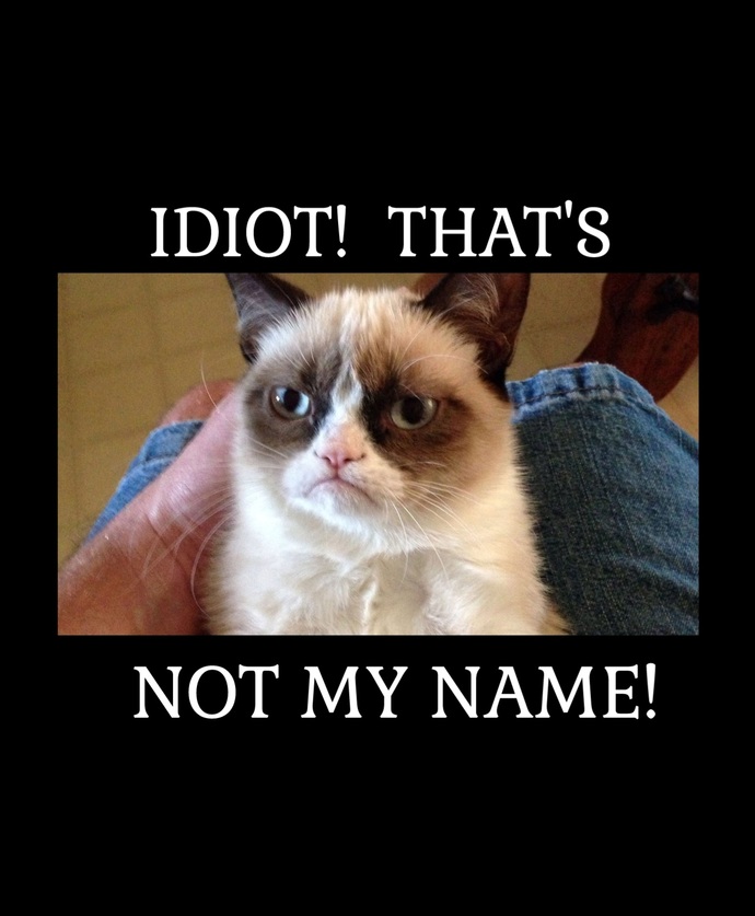 Ever had your name butchered so badly it came out as an actual insult?