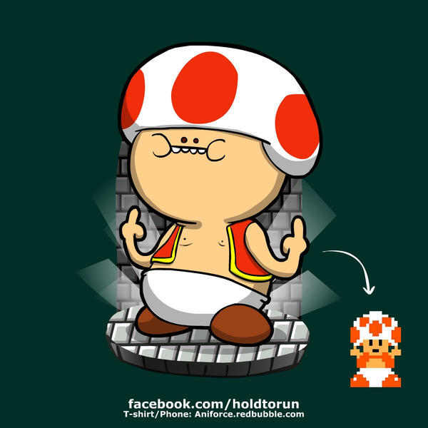 How do you feel about TOAD giving you the double fingers when you reach the end of the castles in the original Super Mario bros?