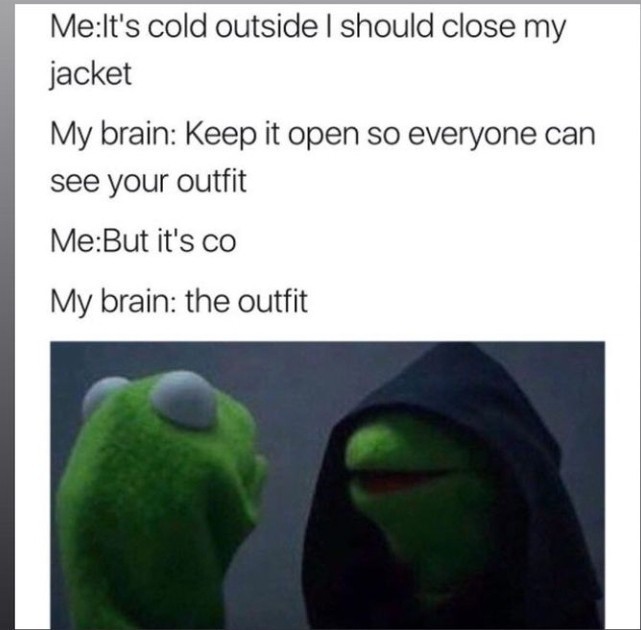 What is the last meme or video that made you laugh?
