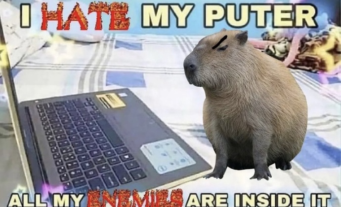 What is the last meme or video that made you laugh?