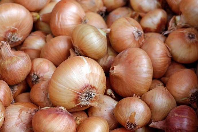 How much do you like Onions?