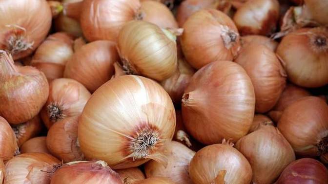 How much do you like Onions?