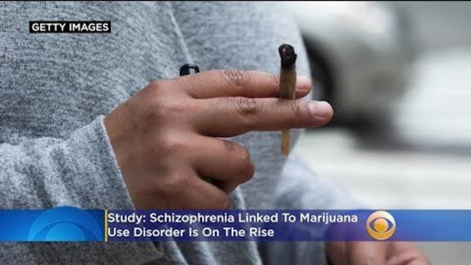 If weed does not cause schizophrenia then how do you explain this?